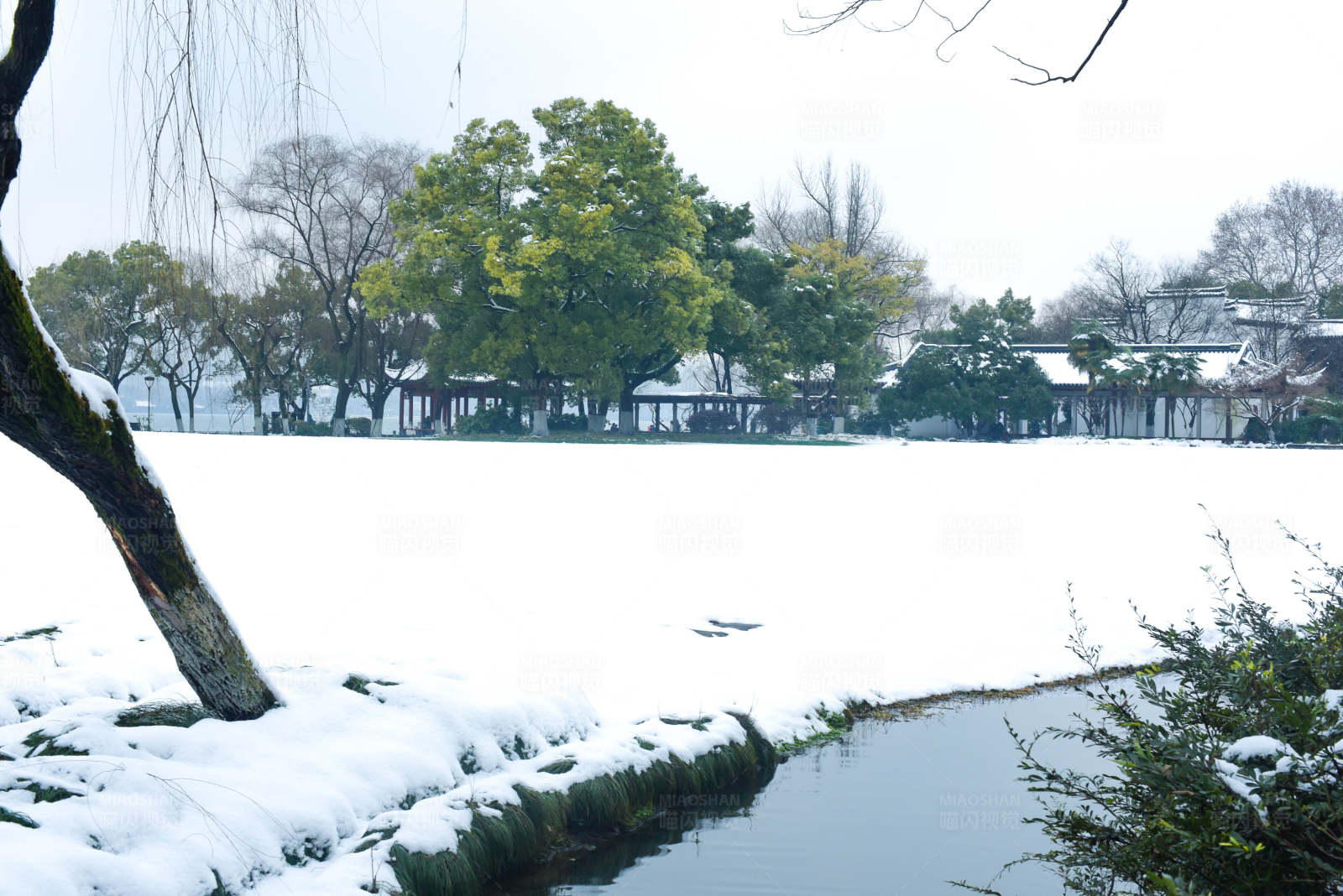 雪景中的宁静湖泊图片