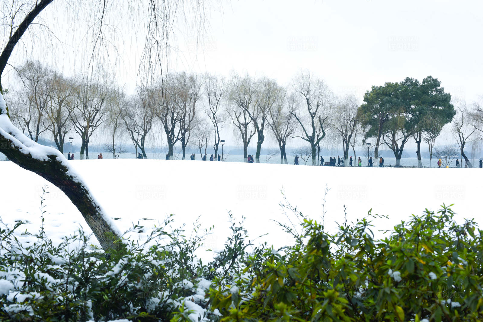 雪后公园的宁静景色图片