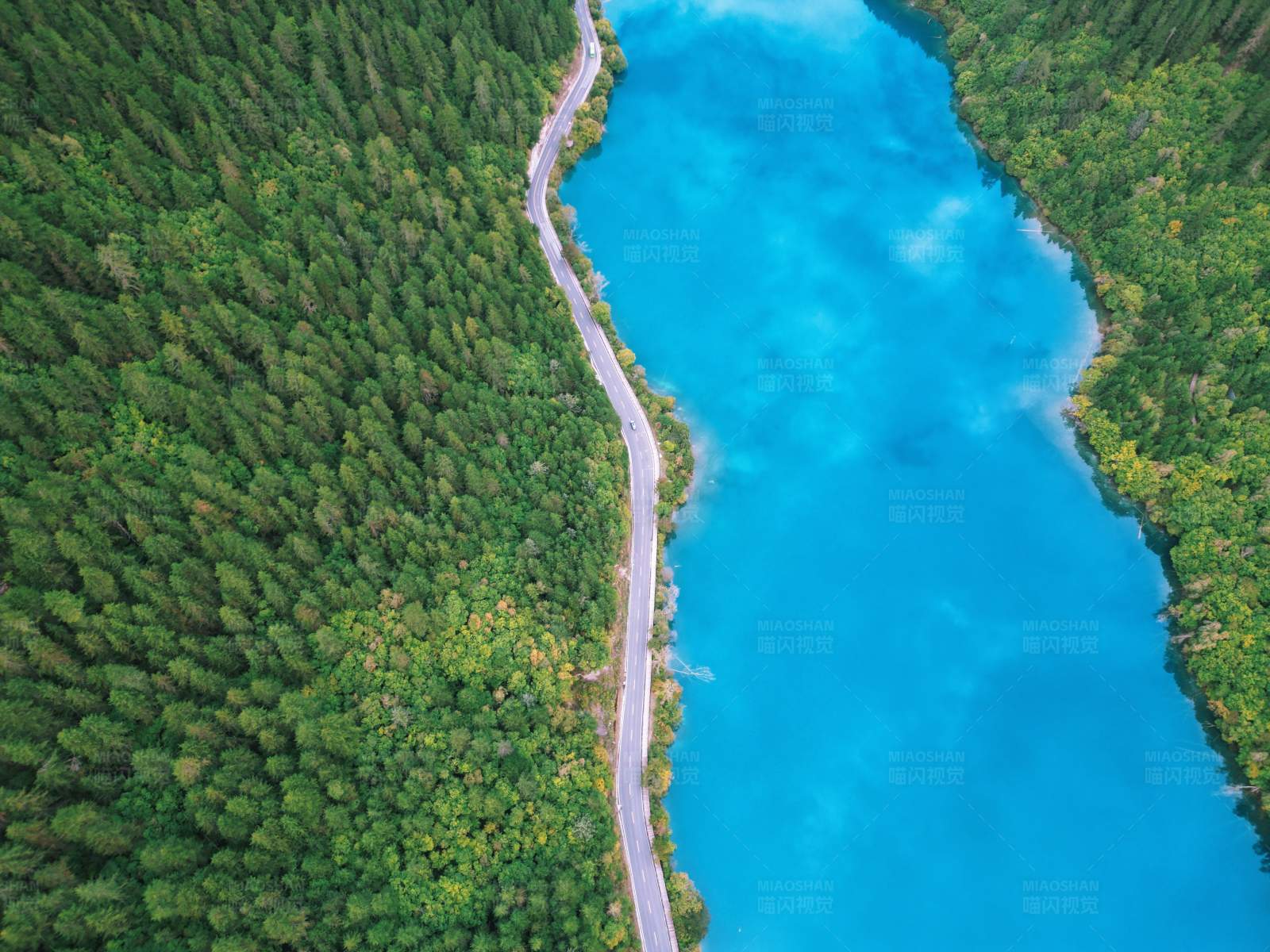 森林湖畔公路图片