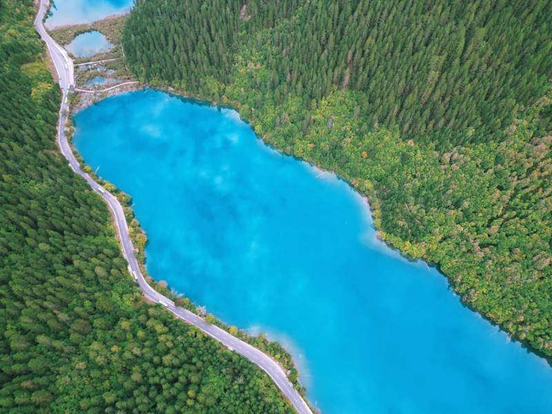 蓝湖森林鸟瞰图图片