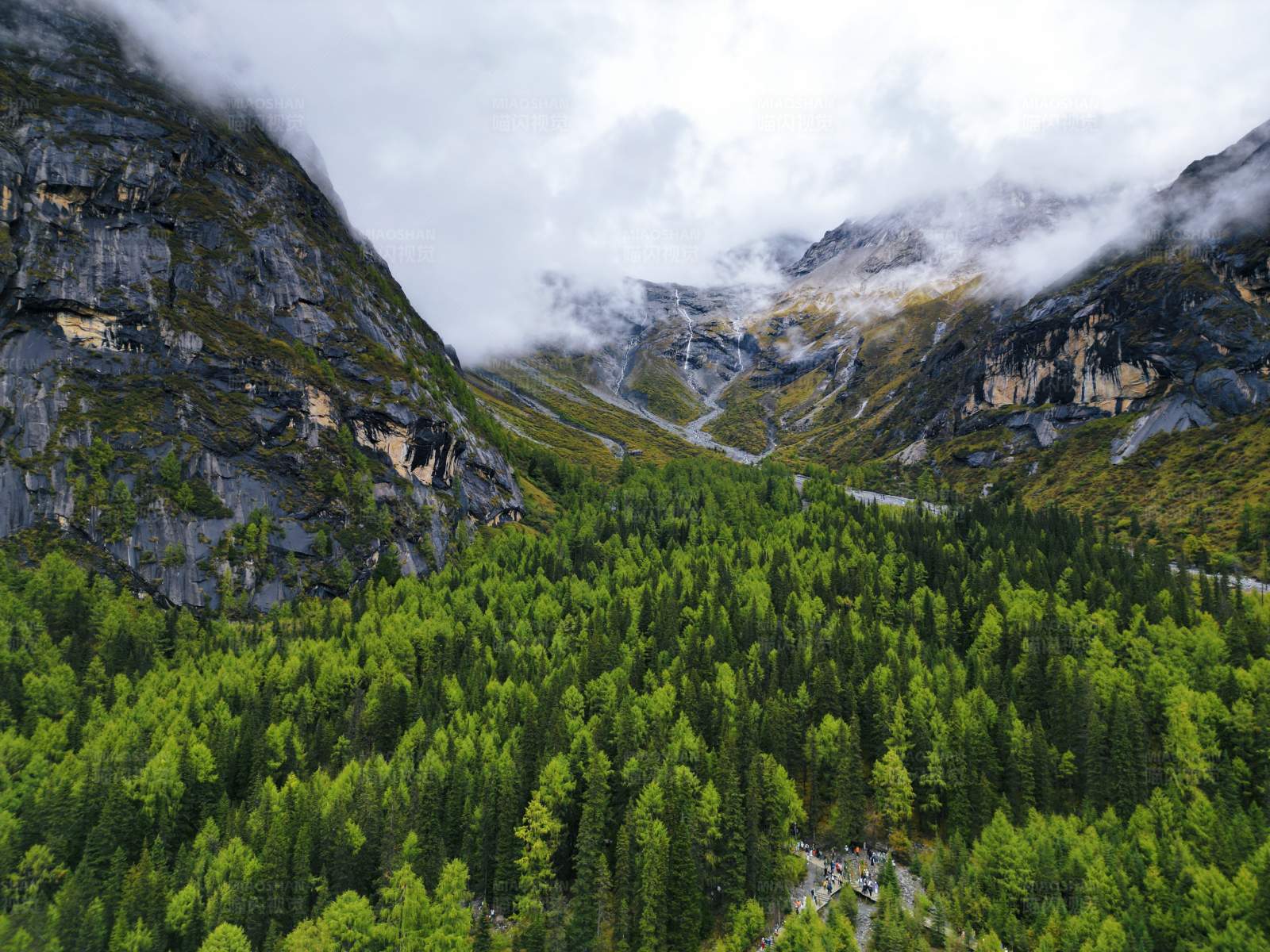 山谷森林云雾图片