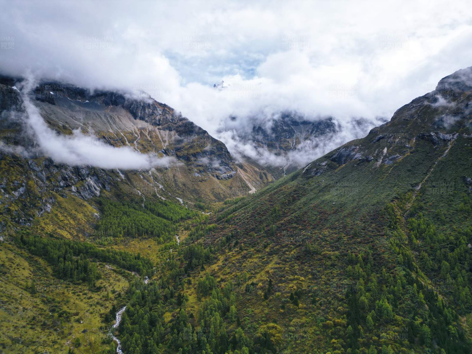 云雾缭绕的山谷图片