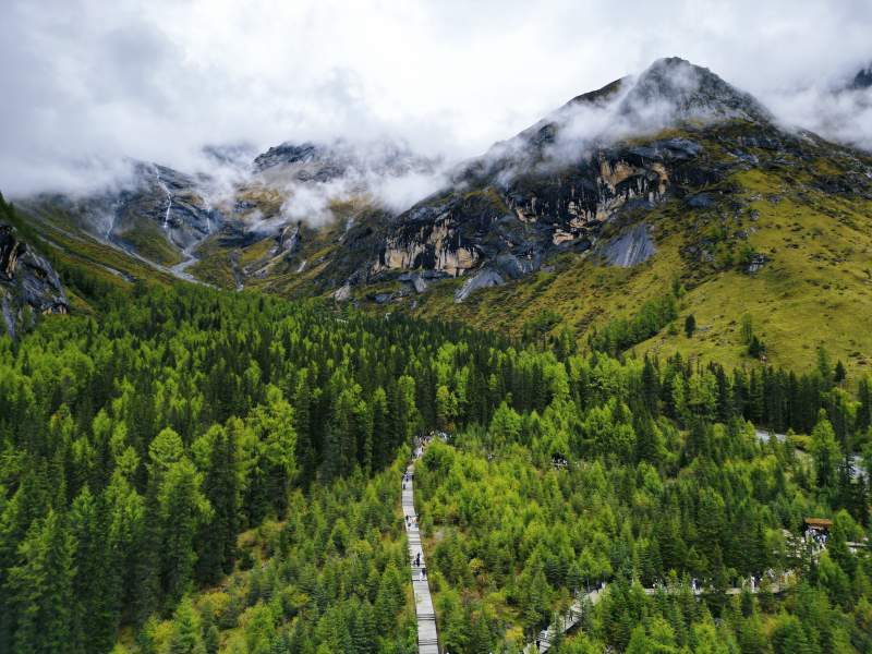 云雾缭绕的山林小径图片