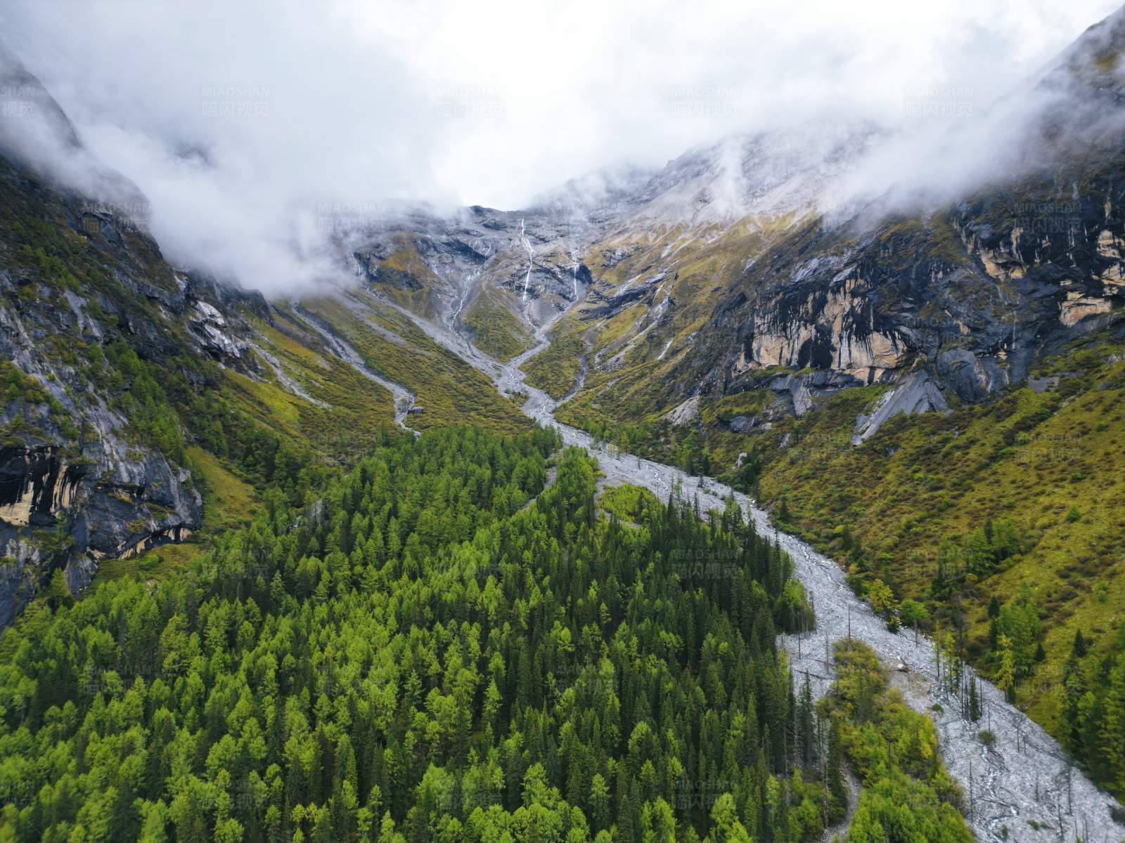 云雾缭绕的山谷森林图片