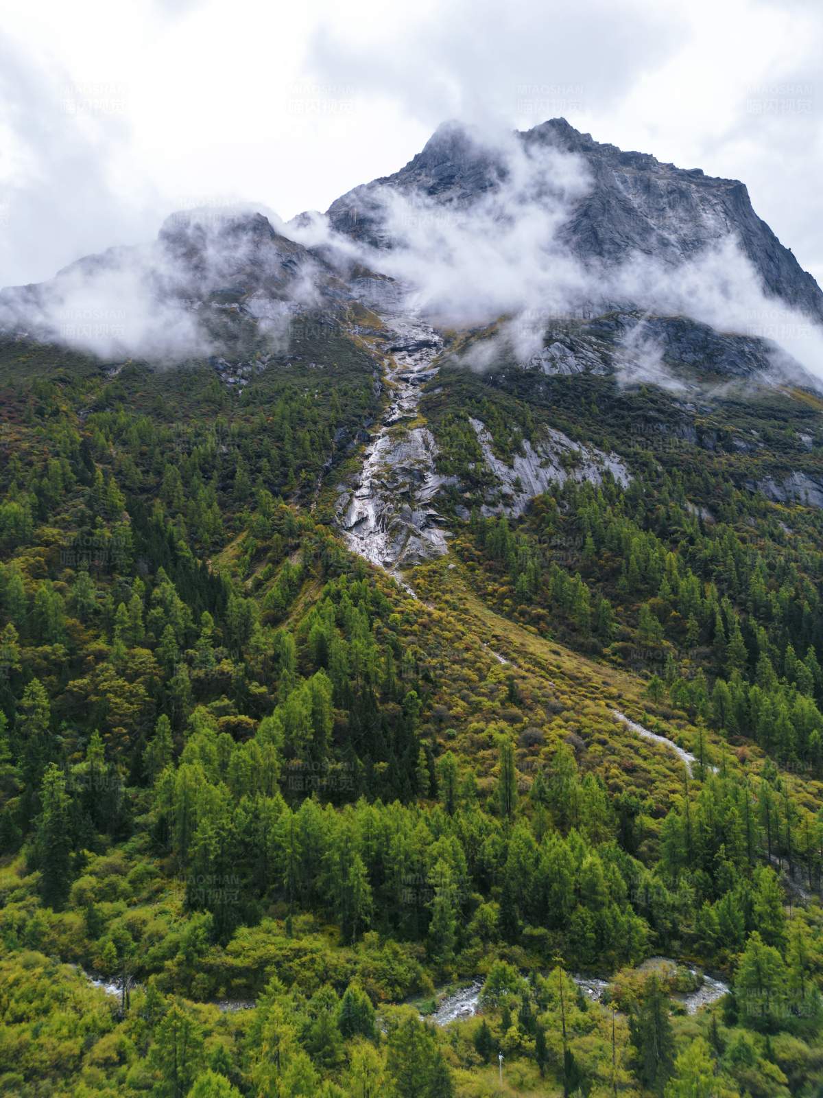 云雾缭绕的山林图片