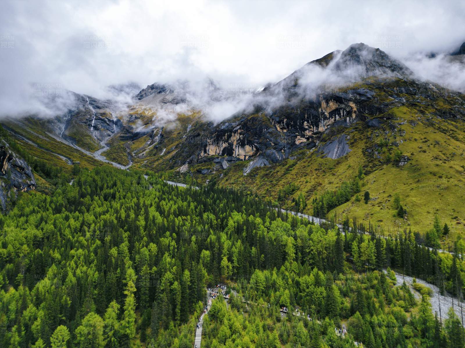 云雾缭绕的山谷森林图片