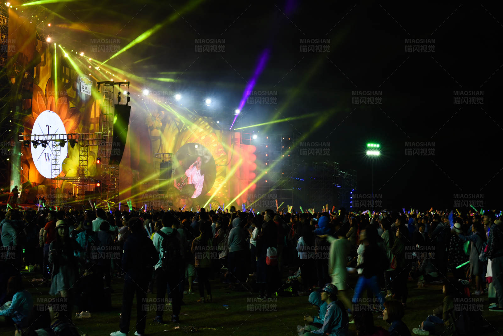 夜间音乐节盛况图片