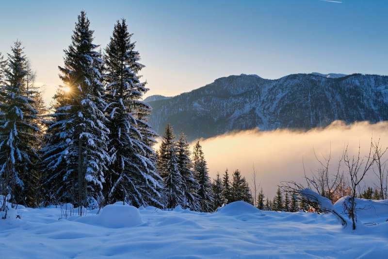 冬日山林雪景图片