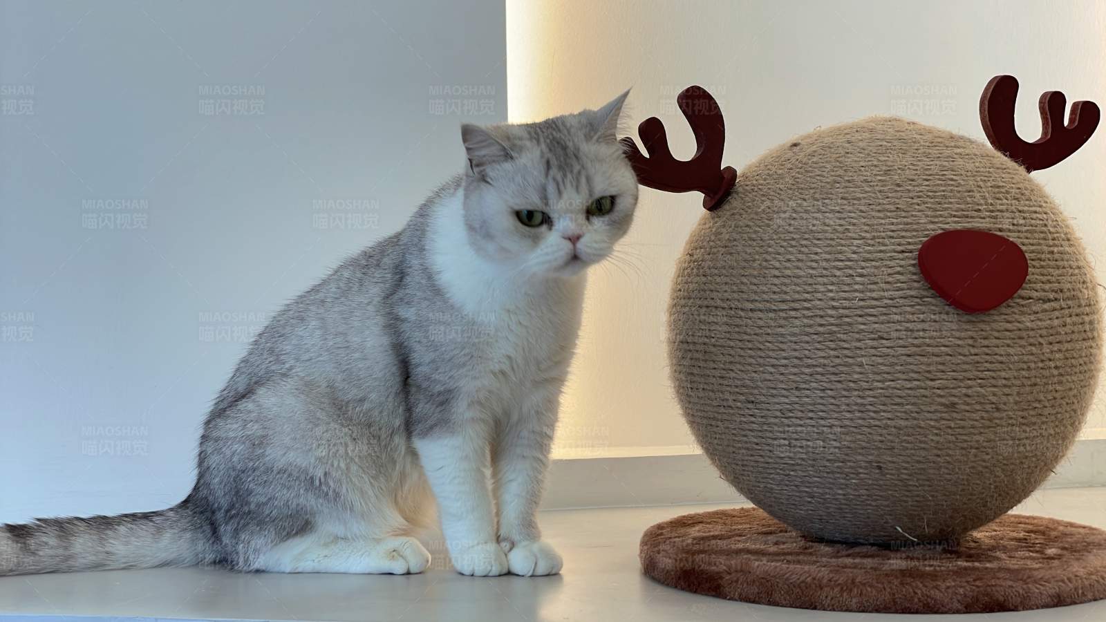 猫咪与圣诞鹿抓板图片