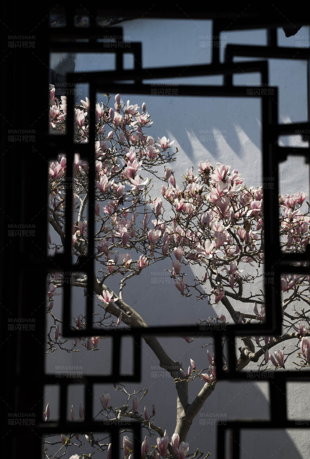 窗棂外的春花烂漫图片