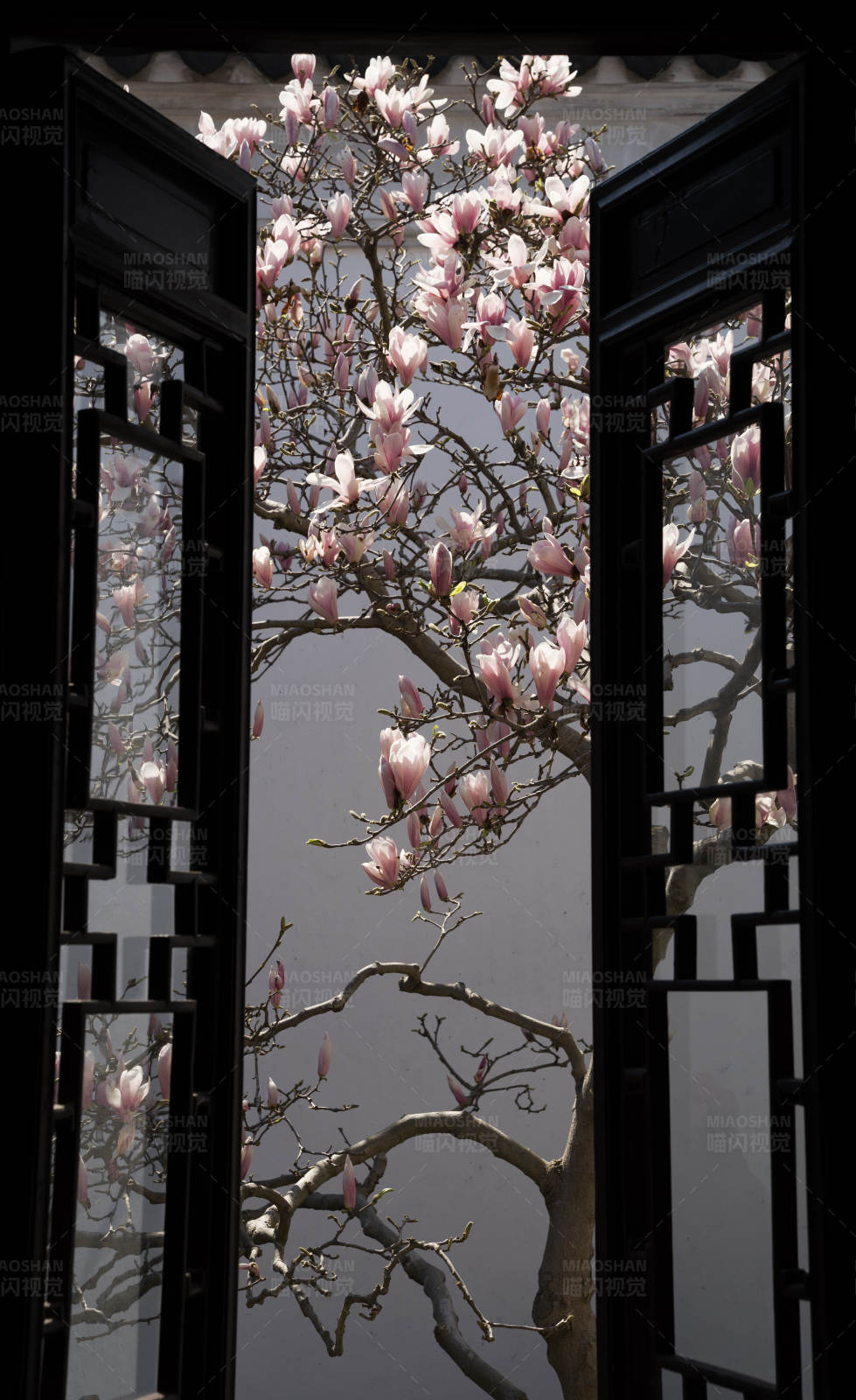 花开窗前春意浓图片