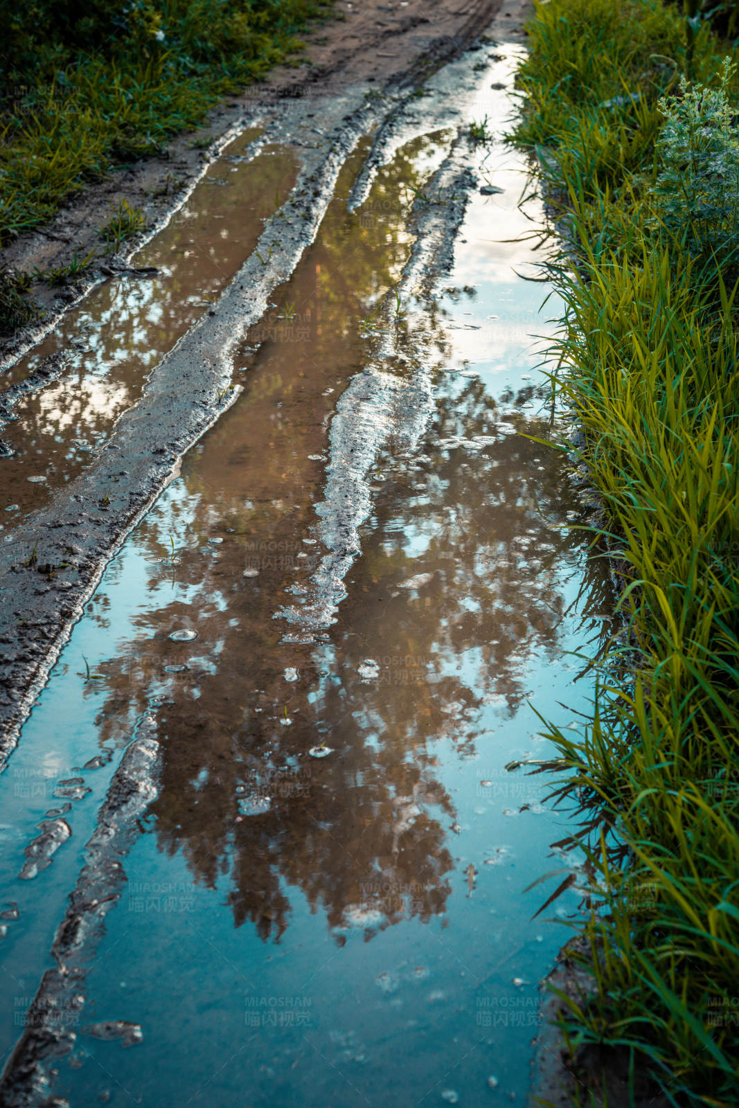 雨后小径倒影图片