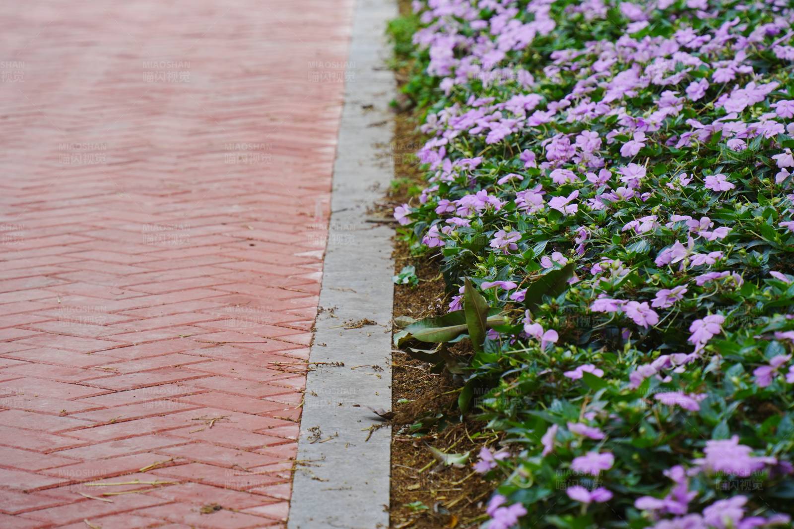 花坛与红砖路图片