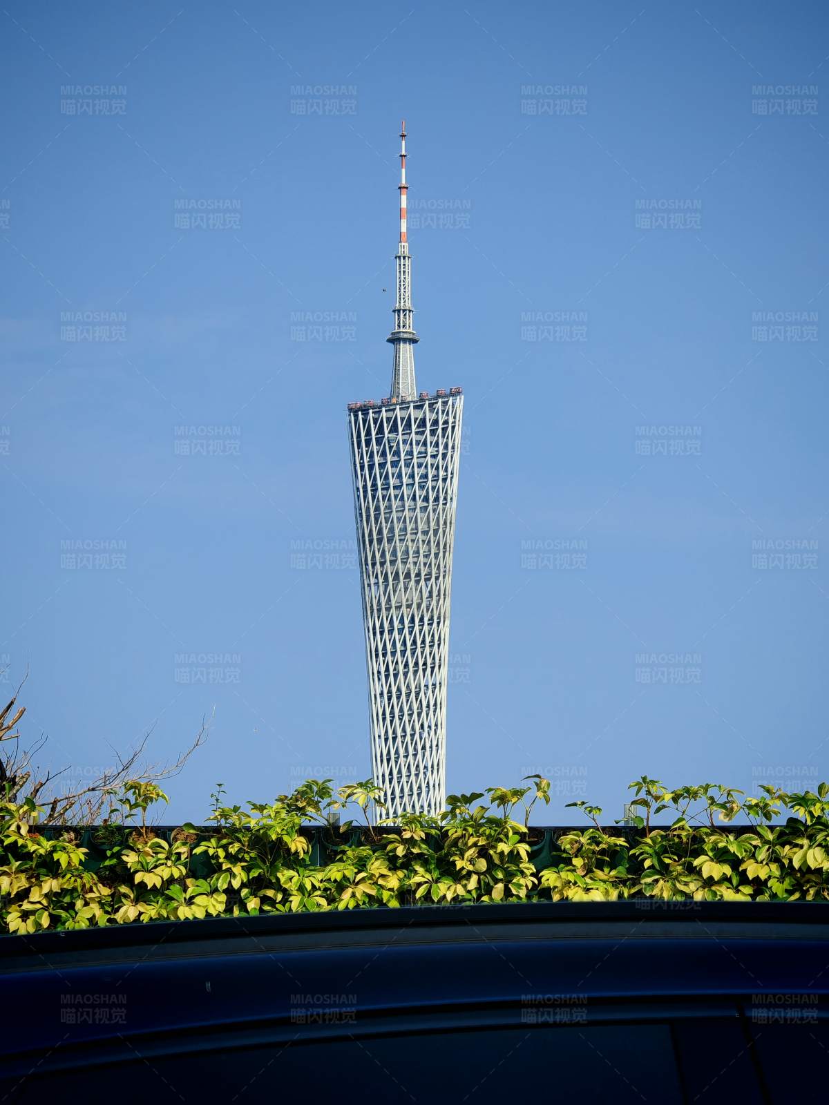 广州塔 现代建筑的奇迹图片