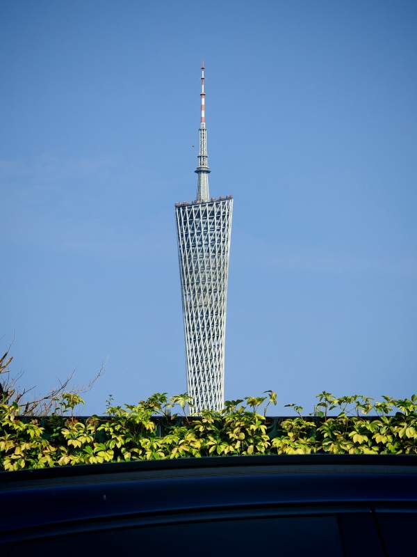 广州塔 现代建筑的奇迹图片