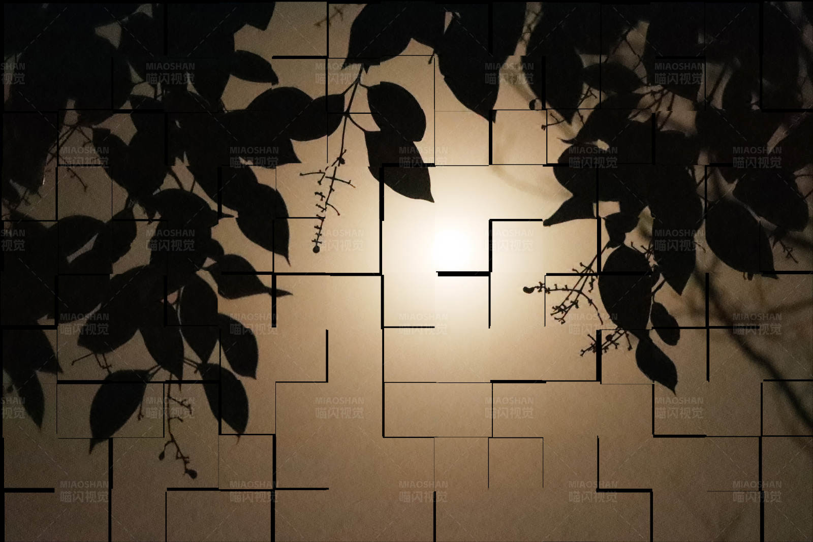 光影交错的树叶剪影图片