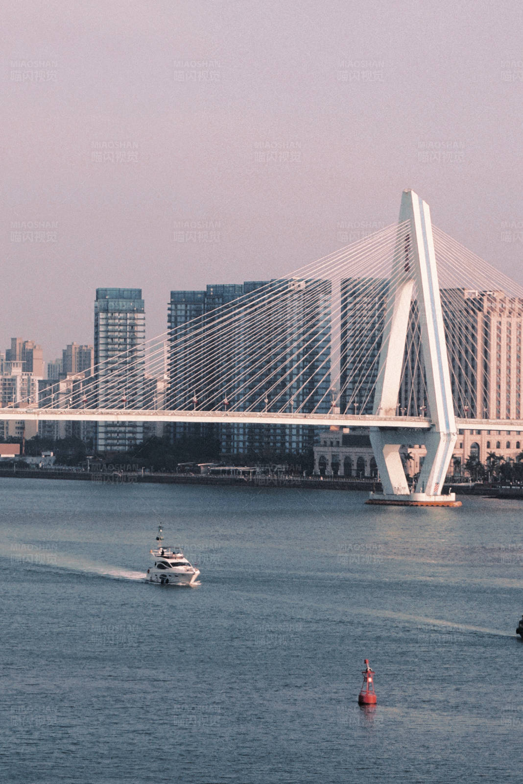 城市桥梁与游艇图片