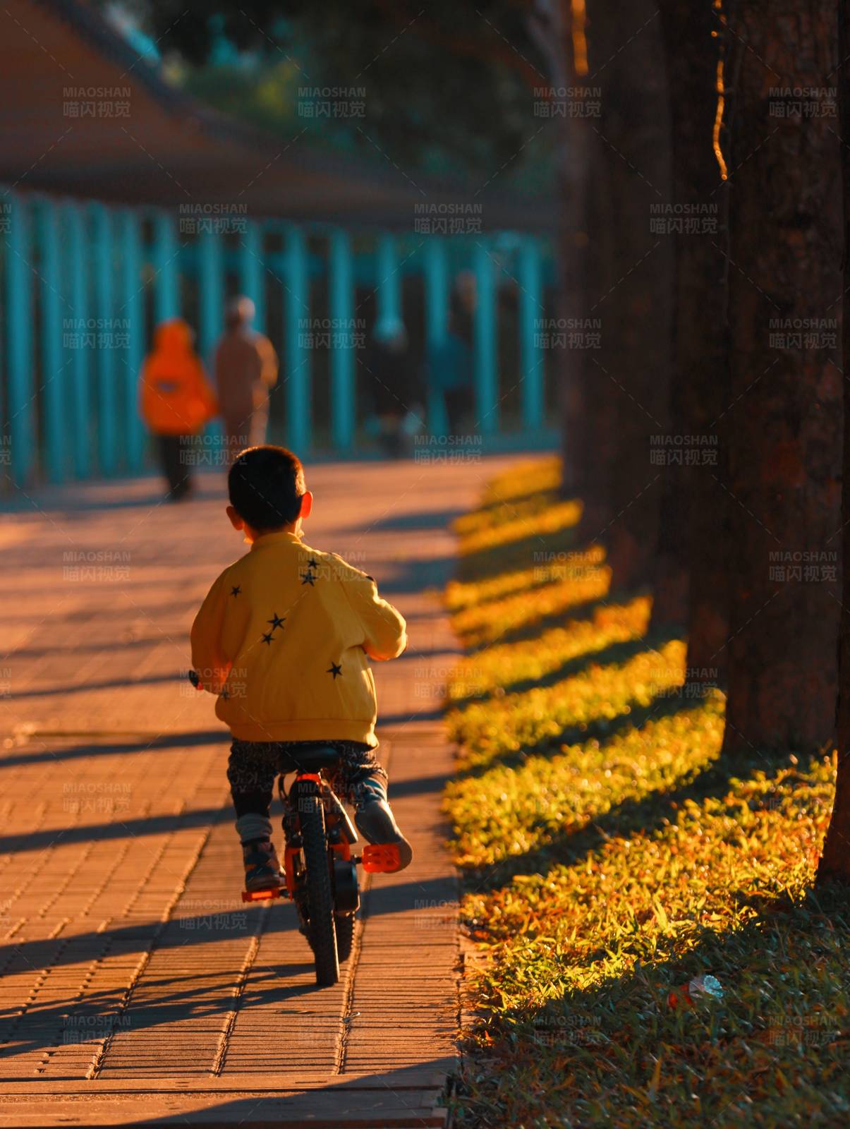 夕阳下的小骑手图片