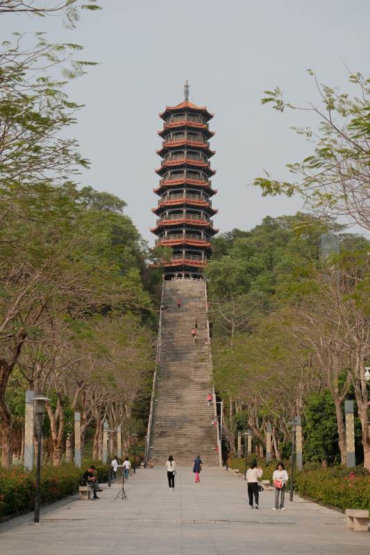 登塔之路-深圳红花山公园图片