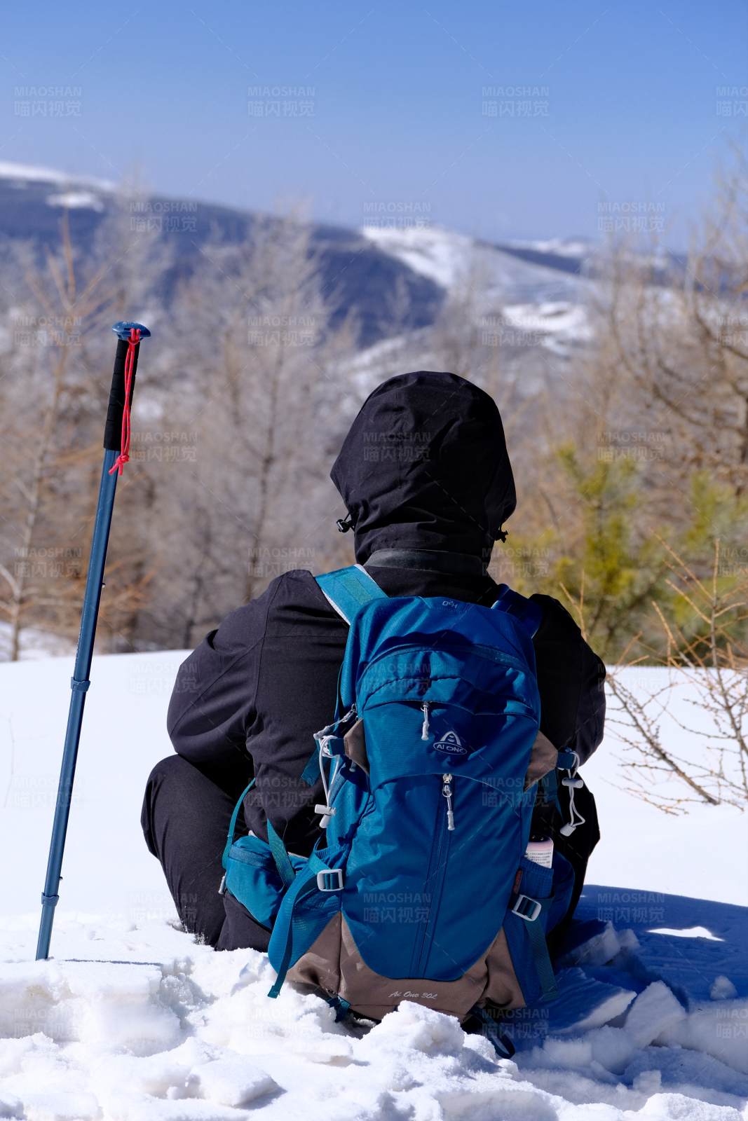 雪地独行者图片