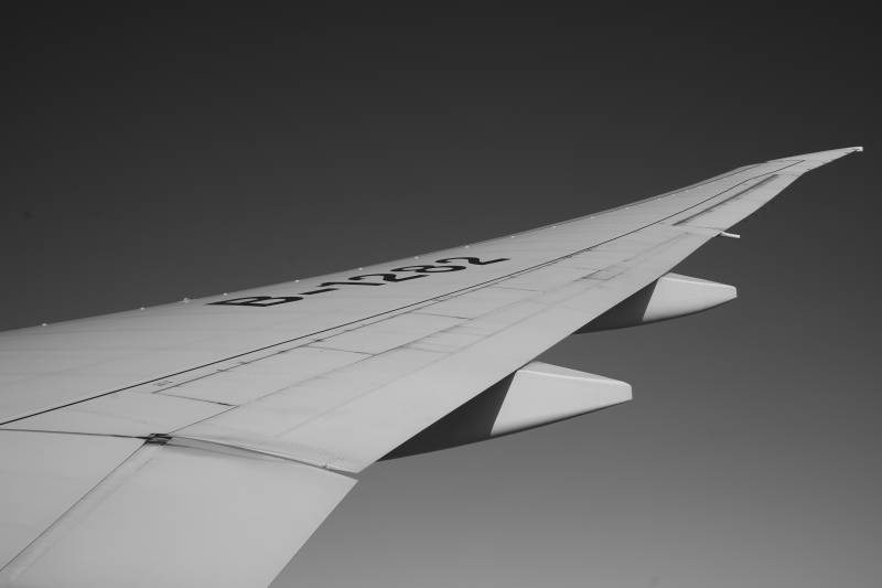 翱翔天际的翅膀图片