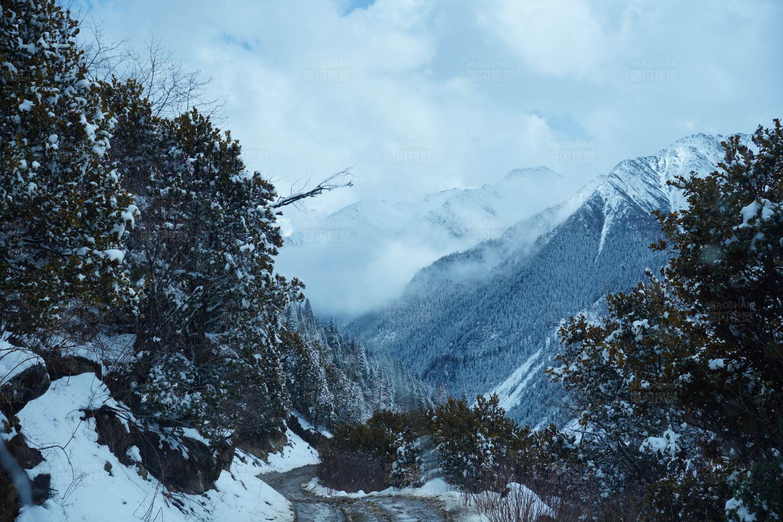 雪域山路图片