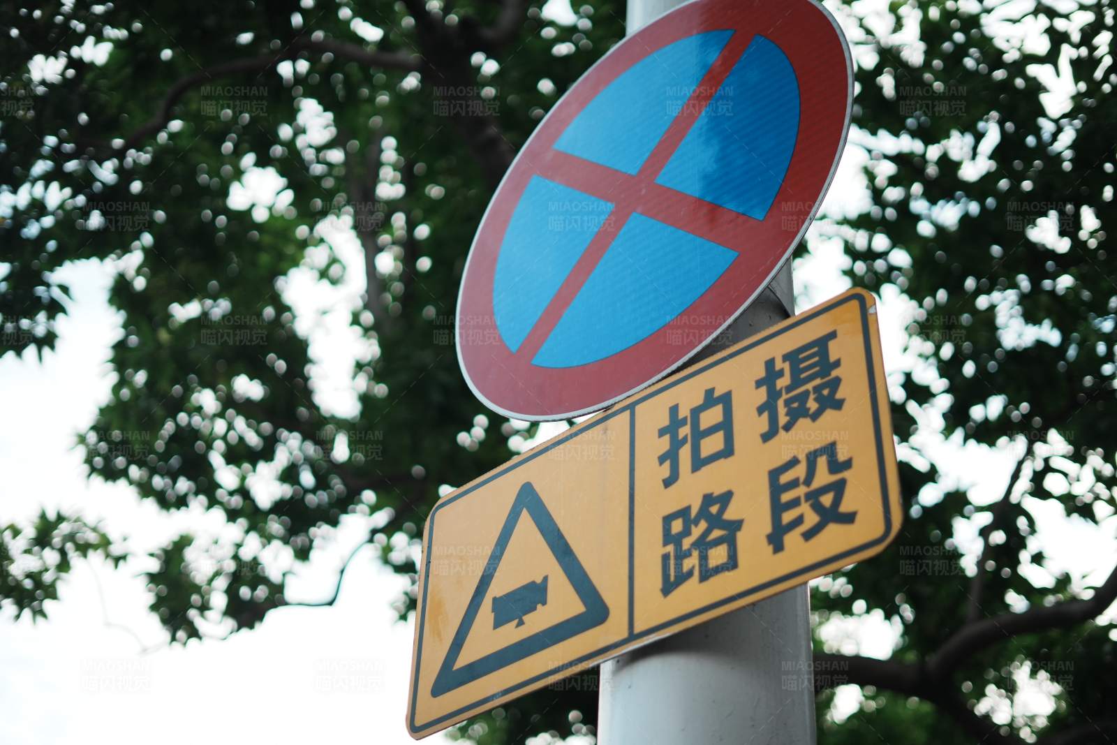 拍摄路段禁止停车图片