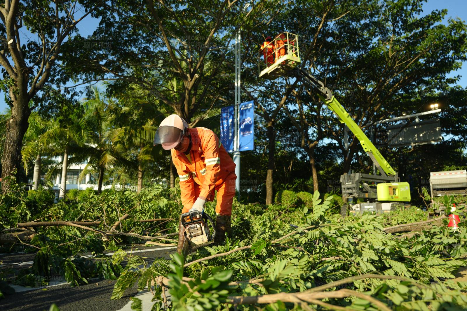 园林工人修剪树枝图片
