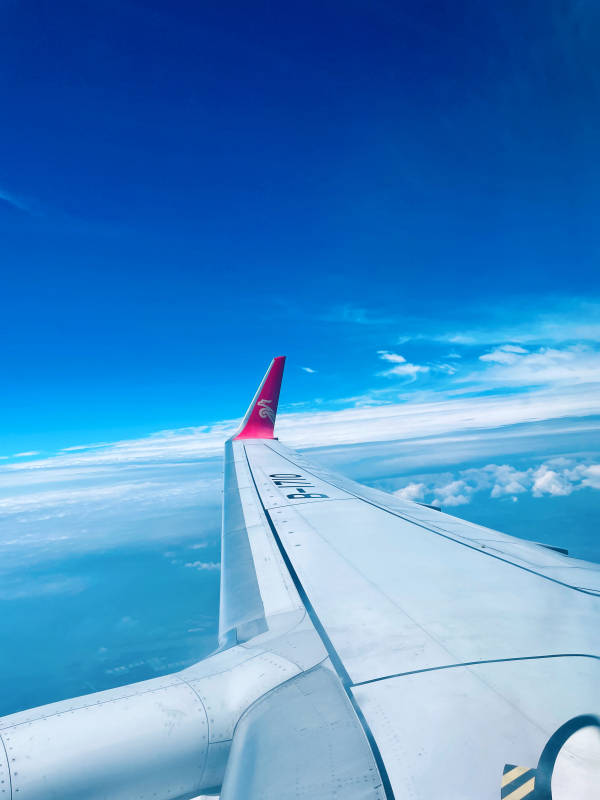 翱翔蓝天的翅膀图片