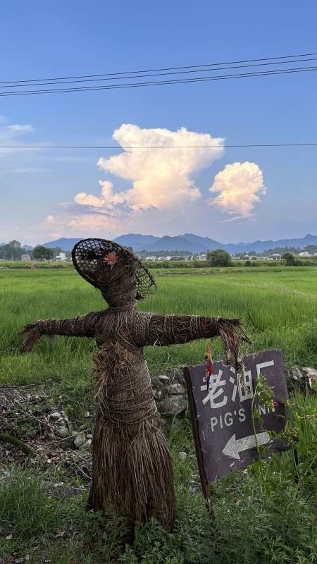 稻草人与田园风光图片