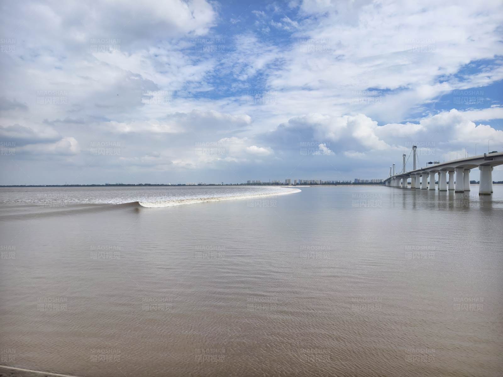 江面大桥与快艇图片