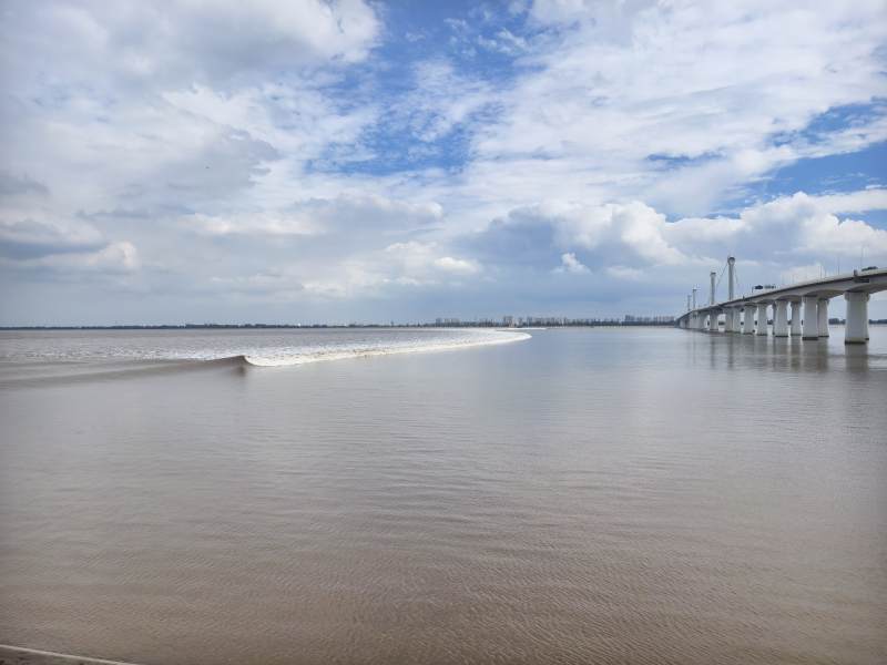 江面大桥与快艇图片