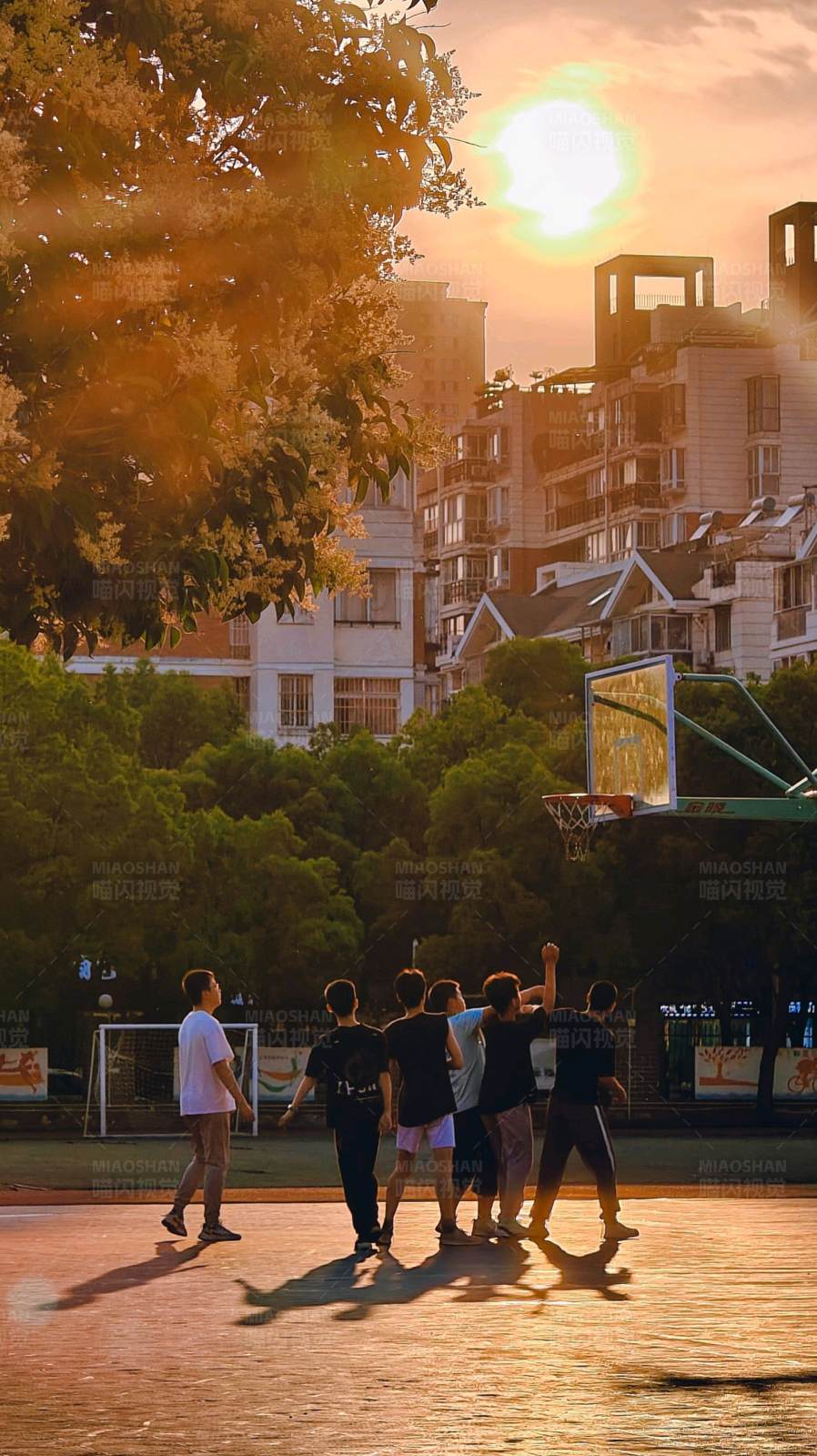 夕阳下的篮球场图片