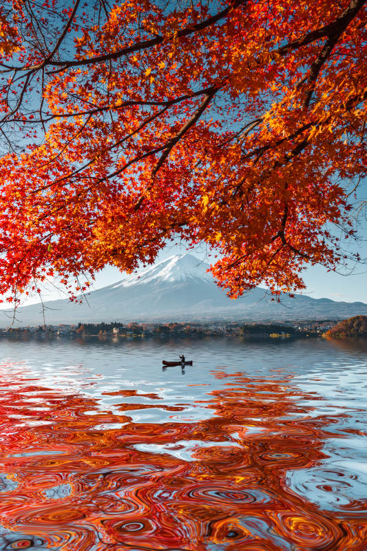 秋日富士山湖畔独舟图片