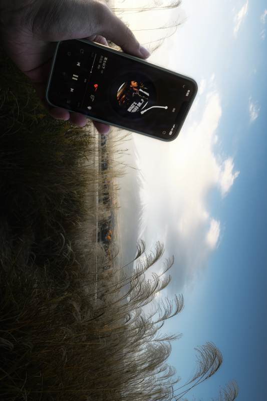 音乐与自然的完美结合图片