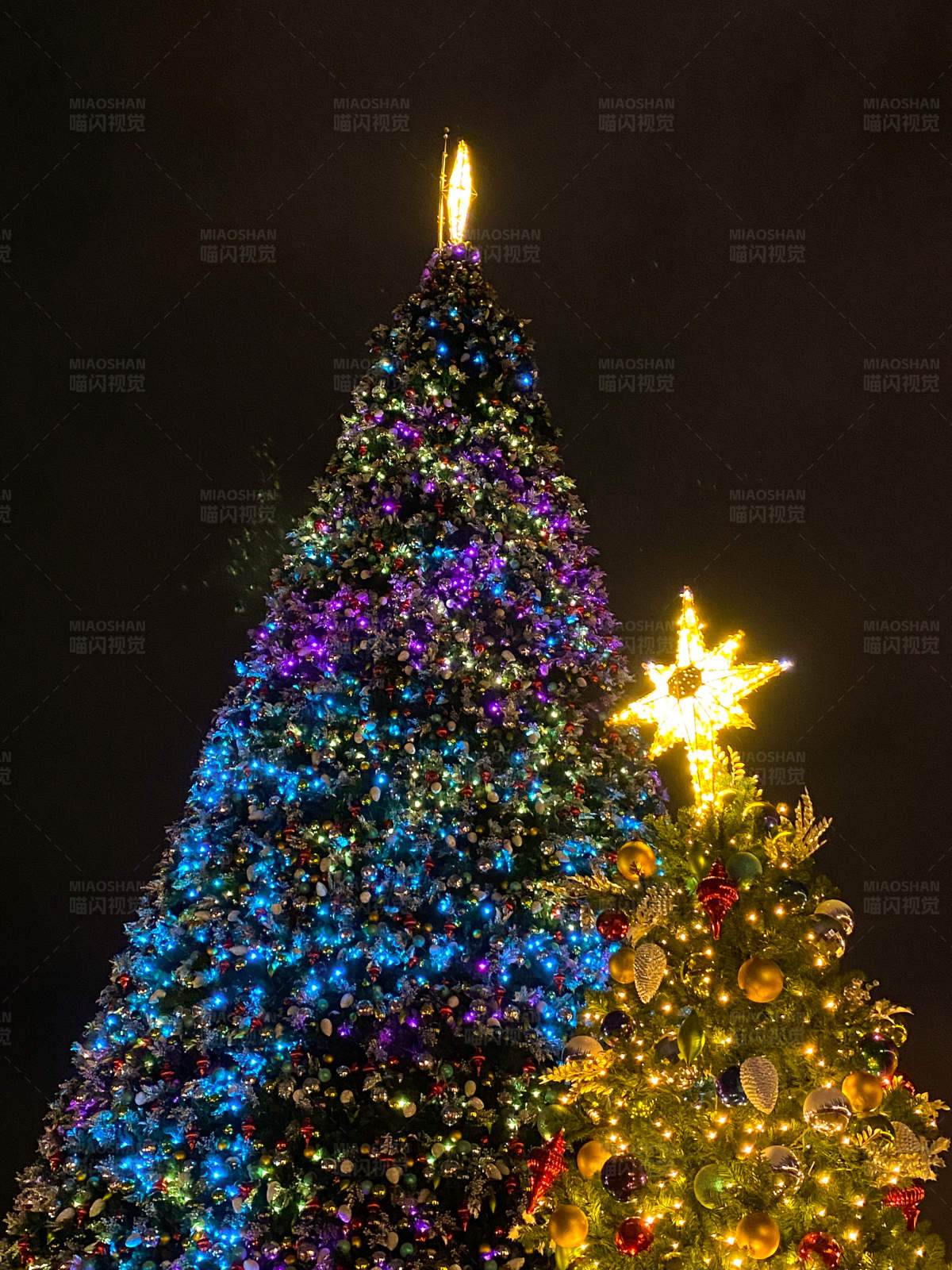 璀璨圣诞树夜景图片