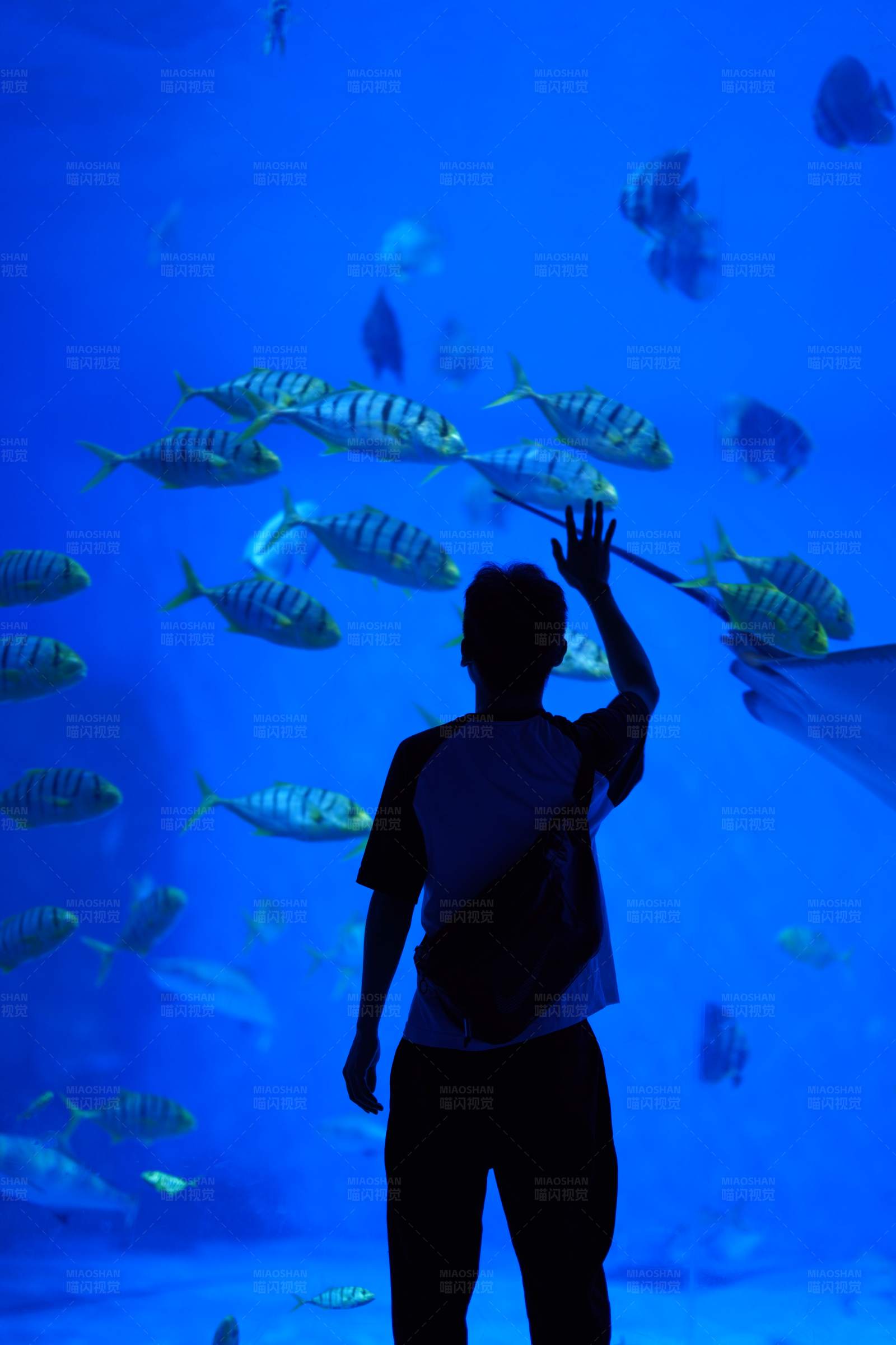 探索海底世界图片