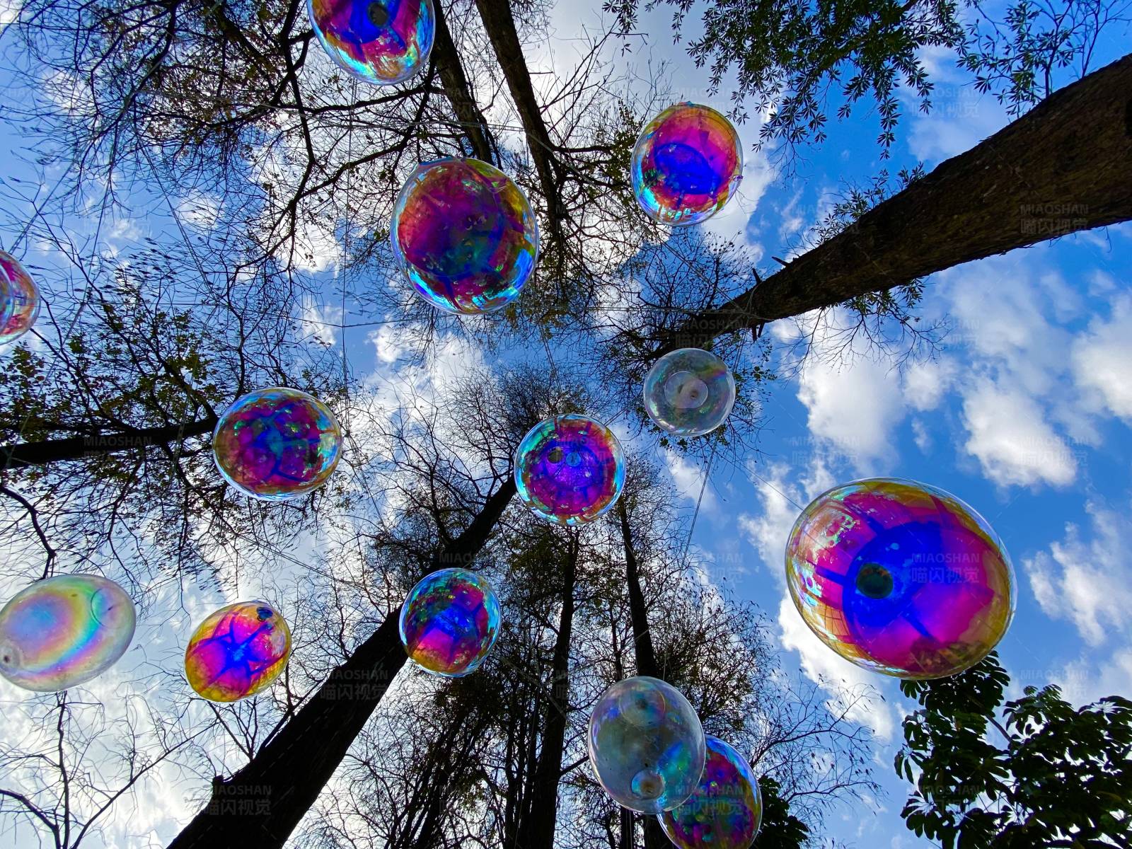 彩虹泡泡森林图片