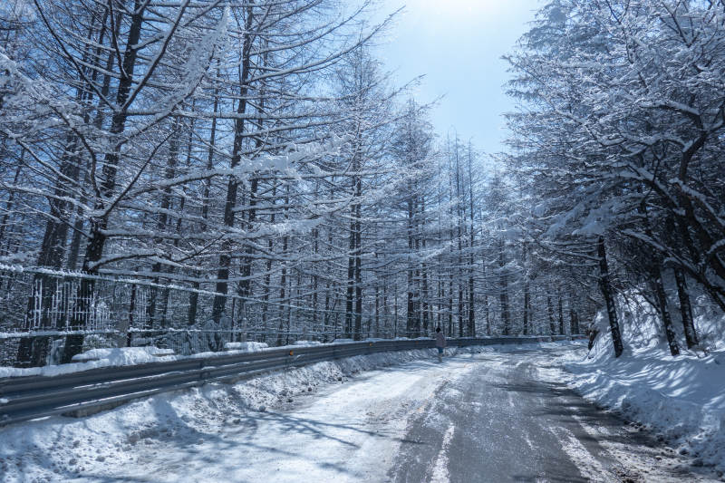 冬日雪景 林间小路图片