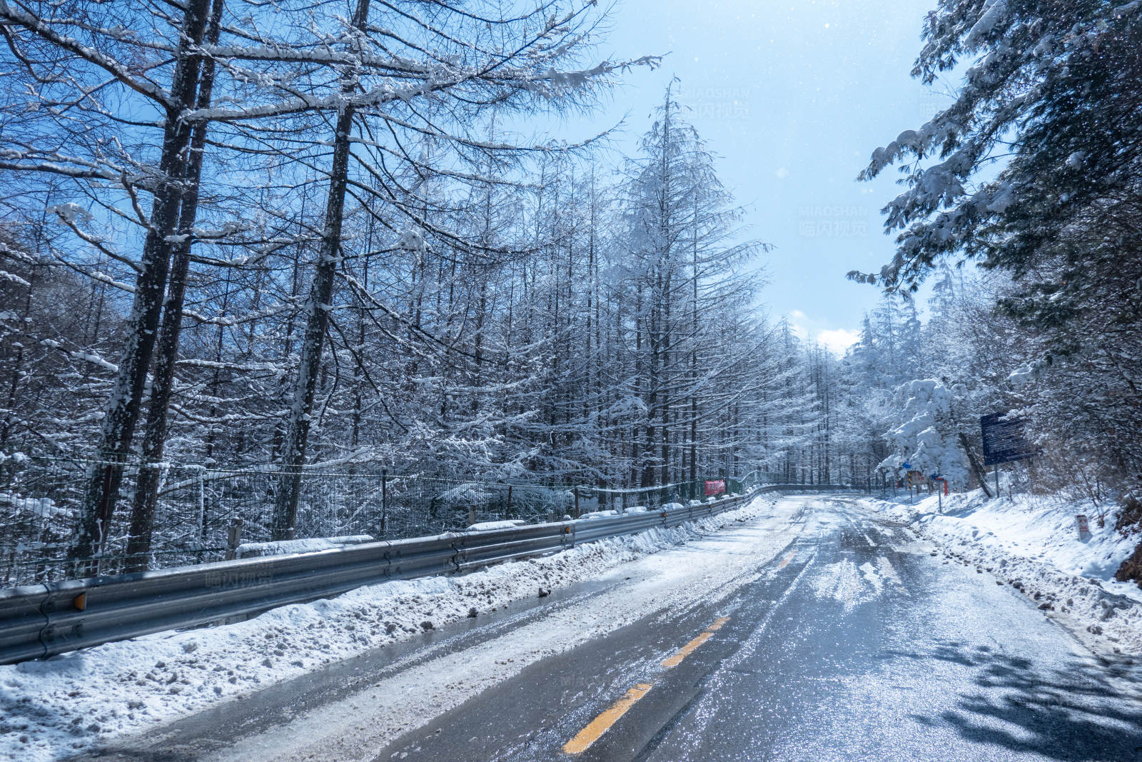 冬日雪景中的森林道路图片