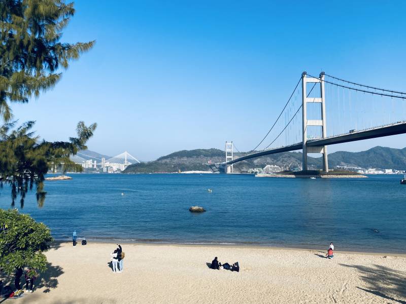 海滩与大桥的宁静时光图片