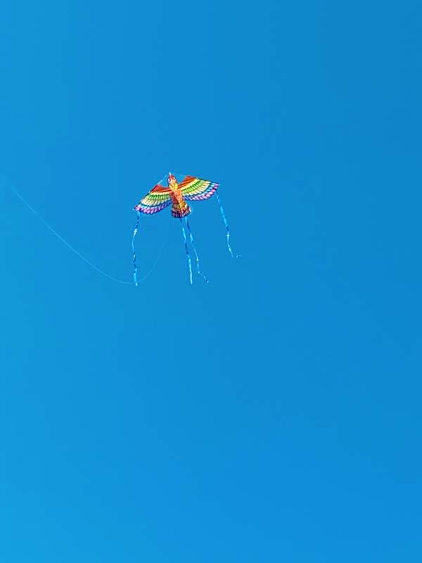 彩虹风筝翱翔蓝天图片