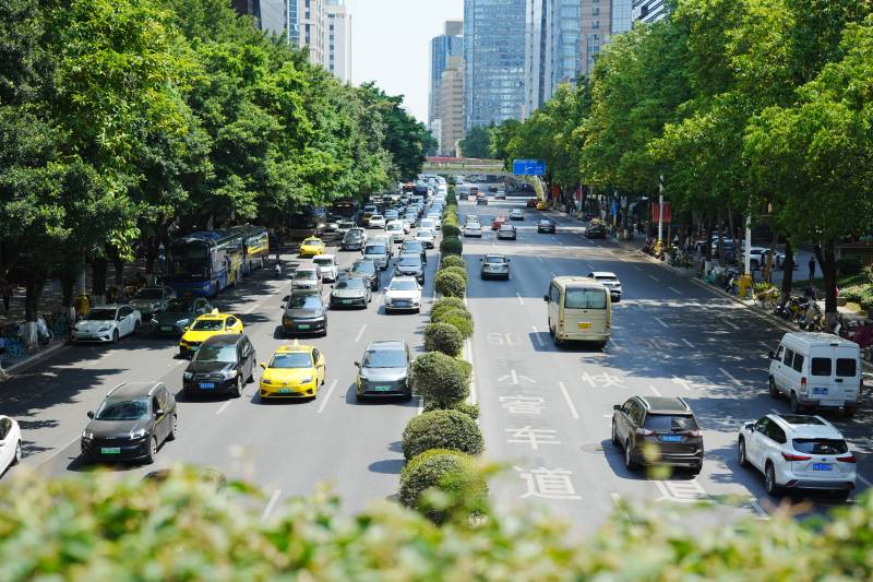 城市绿荫下的繁忙街道图片