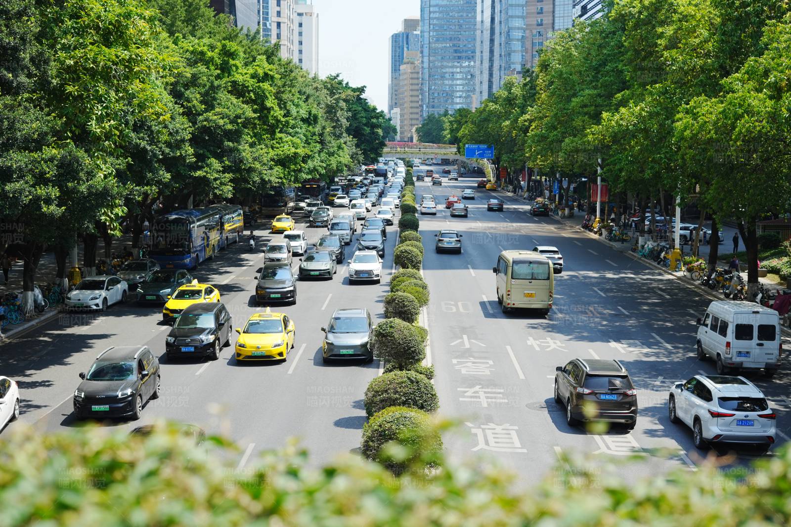 城市绿荫下的繁忙街道图片