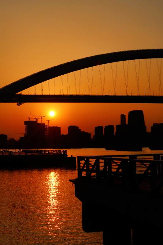 夕阳下的城市剪影图片