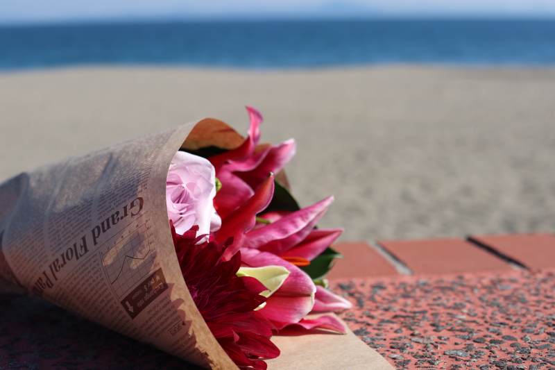 海边的花束图片