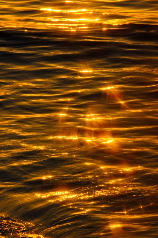 金光粼粼的水面图片