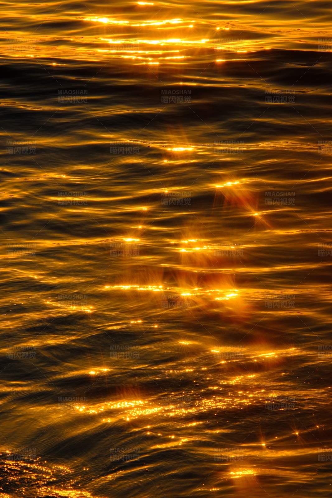 金光粼粼的水面图片