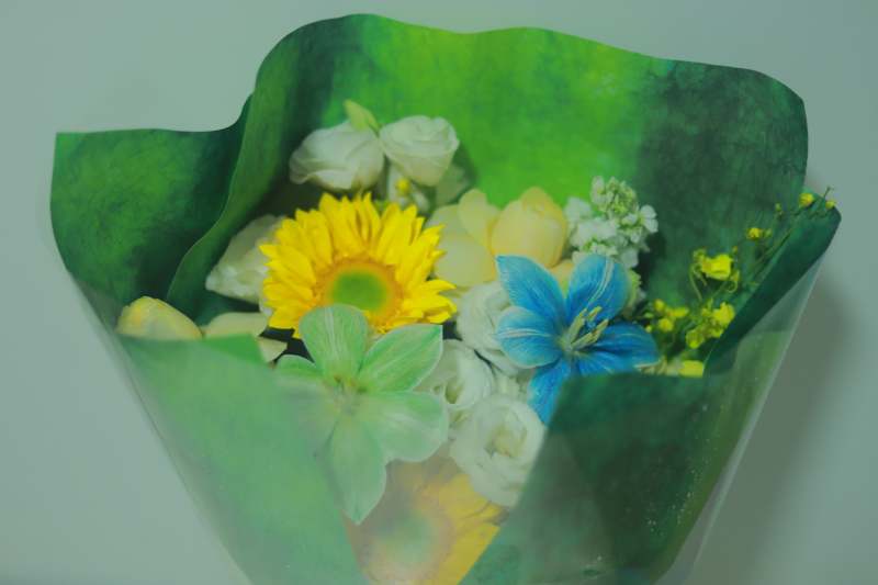 花束 春日的色彩图片