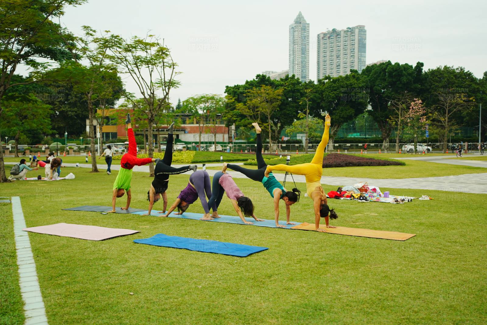 公园瑜伽集体活动图片